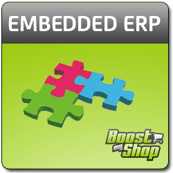 Embedded ERP