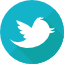 logo twitter erp