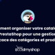 Comment organiser votre catalogue PrestaShop pour une gestion efficace des catégories et produits