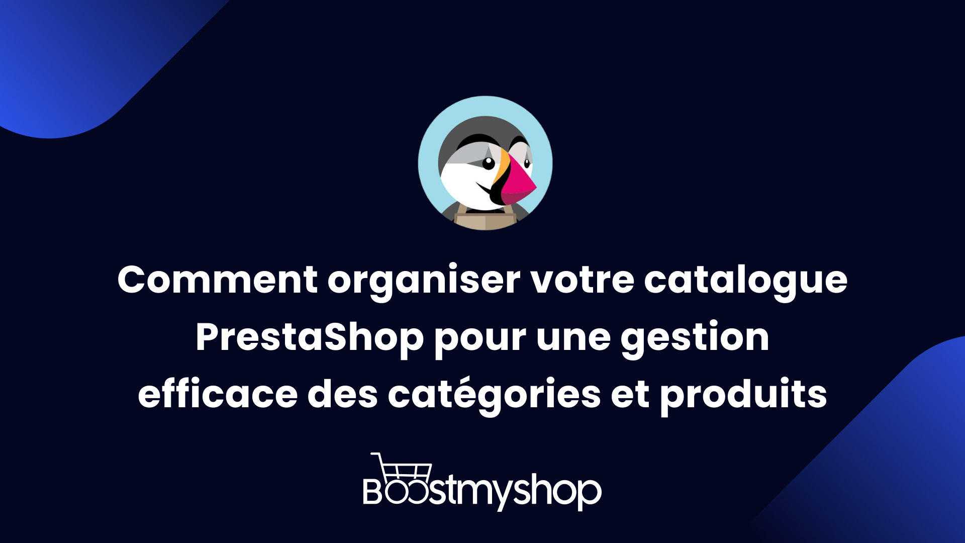 Comment organiser votre catalogue PrestaShop pour une gestion efficace des catégories et produits